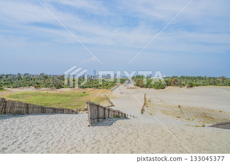 靜岡縣濱松市中田島沙丘的景色 133045377