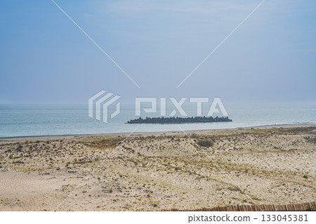 靜岡縣濱松市中田島沙丘的景色 133045381