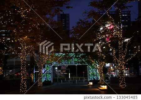 illumination 133045485