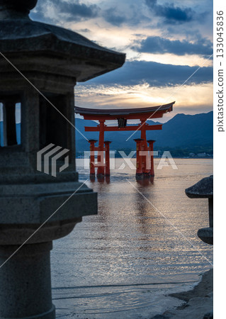 Torii of Itsukushima Shrine at sunset on Miyajima island 133045836