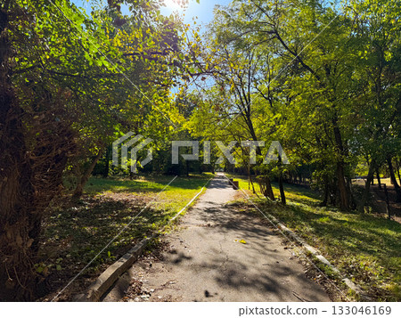 Sunlit park path surrounded by trees and shadows. Harmony, rest, and connection with living nature. 133046169