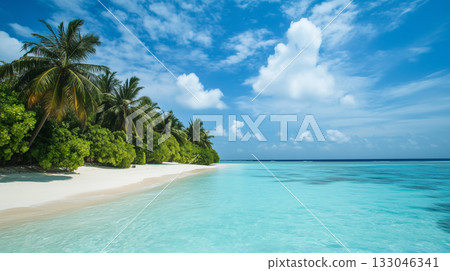 Tropical beach. Summer vacation on a tropical island with beautiful beach and palm trees. Tropical Maldives. 133046341