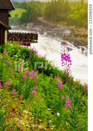 Formofossen waterfall, powerful river in Norway 133046429
