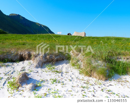 Tent on nature, Lofoten Norway 133046555