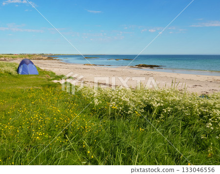 Seascape with tent on beach, Lofoten Norway 133046556