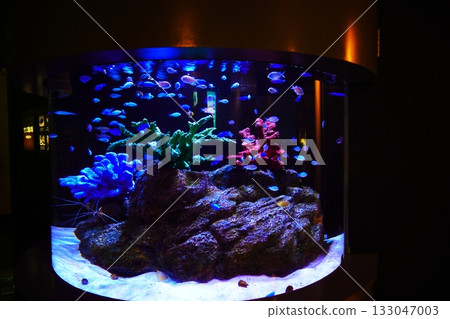 Noboribetsu Marine Park Nix's aquarium 133047003