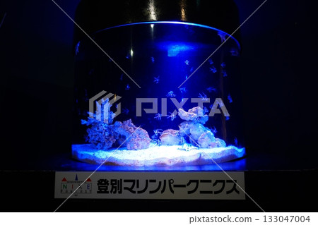 Noboribetsu Marine Park Nix's aquarium 133047004