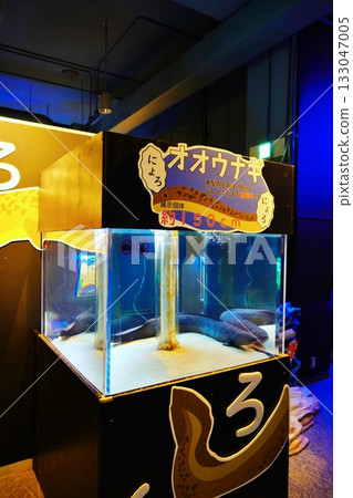 Noboribetsu Marine Park Nix's aquarium 133047005