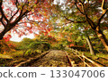 Scenery with autumn leaves and a path 133047006