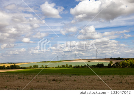 Trois-Puits, Reims, Marne, Grand-Est, France, August, 28th, 2025, Champagne Area, Uniform patches of 133047042