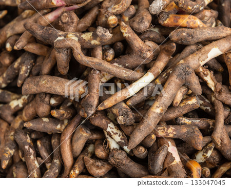Climbing lily or Gloriosa superba roots background Climbing lily or Gloriosa superba roots background 133047045