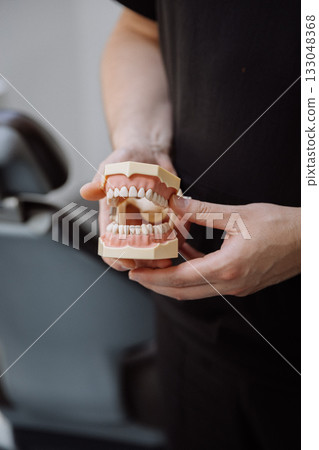 Dentist holding anatomical dental jaw model for patient education, clinic closeup Dentist holding anatomical dental jaw model for patient education, clinic closeup 133048368