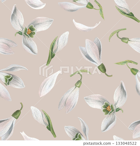 Cute seamless pattern of little snowdrop flowers and buds on beige background. Hand-drawn watercolor illustration. Perfect for decorating packaging, wrapping papers, textiles, print materials Cute seamless pattern of little snowdrop flowers and buds on beige background. Hand-drawn watercolor illustration. Perfect for decorating packaging, wrapping papers, textiles, print materials 133048522