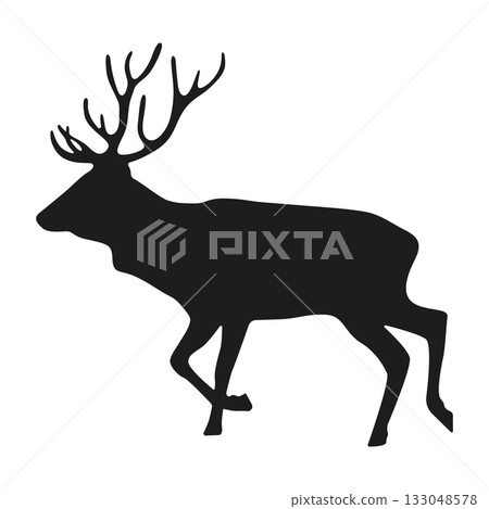 Deer_05 133048578