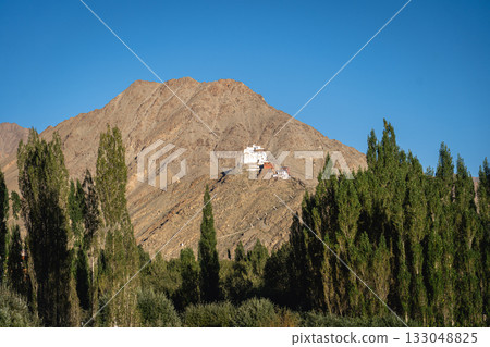 Namgyal Tsemo Monastery and Tsemo Castle in Leh, Ladakh 133048825