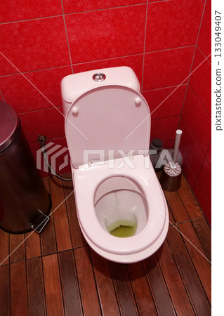 Toilet room with toilet bowl, wastebasket, toilet brush and red wall tiles Toilet room with toilet bowl, wastebasket, toilet brush and red wall tiles 133049407