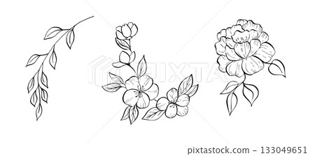 Vector delicate peony, tulip, begonia, aster, eustoma, rosehip, apple blossom with leaves. Hand painted linear contour flower. Graphic clipart isolated. Botanical, tattoo and wedding illustration. For 133049651