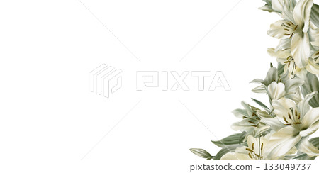 White lily flower and leaves in cemicircular template as a symbol of grief and sorrow.Grace in its solitude and peace.Hand drawn watercolor template for funeral,baptism,communion,wedding,church White lily flower and leaves in cemicircular template as a symbol of grief and sorrow.Grace in its solitude and peace.Hand drawn watercolor template for funeral,baptism,communion,wedding,church 133049737