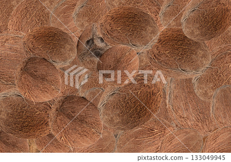 Whole coconuts textured background 133049945