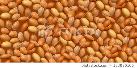 Argan nuts wallpaper, argania oil seeds textured background 133050166