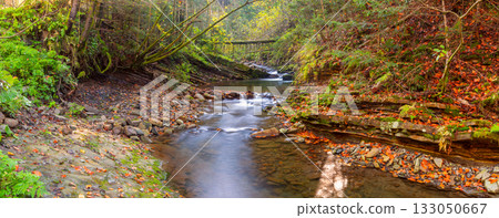 Mountain stream near Skole, Lviv region, Ukraine Mountain stream near Skole, Lviv region, Ukraine 133050667