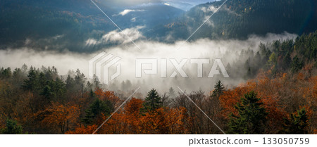 Beautiful mountain landscape in fall with colorful trees and white fog , aerial view . Misty forest Beautiful mountain landscape in fall with colorful trees and white fog , aerial view . Misty forest 133050759