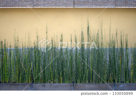 Street corner scenery sketch photo 133050899