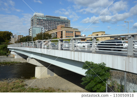 京都市中京區大池橋 133050918