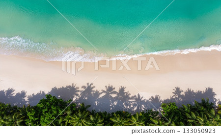 From above, turquoise waves meet white sand on a tropical beach. Palm trees line the shore, casting shadows onto the sand. A perfect day at a scenic, secluded location. 133050923