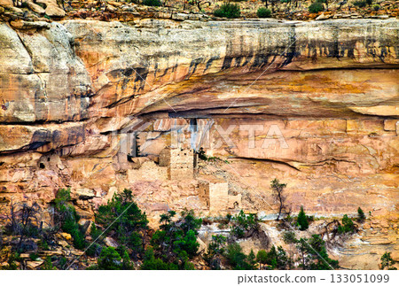 View of the Hemenway House ruins in Mesa Verde National Park. The remote Ancestral Puebloan cliff dwelling is built high into a massive sandstone alcove 133051099