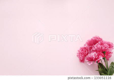 母親節粉紅康乃馨和淺色背景 133051116