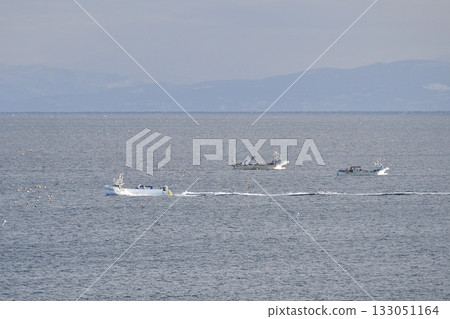Photographed a scene of scallop fishing boats operating in Funka Bay in Yakumo Town, Hokkaido in early winter. Photographed a scene of scallop fishing boats operating in Funka Bay in Yakumo Town, Hokkaido in early winter. 133051164