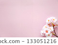 櫻花和淡粉紅色背景（春季背景素材） 133051216