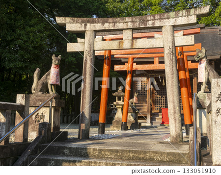 晨曦照耀下的稻荷神社 133051910