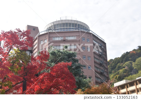 度假酒店 133052163