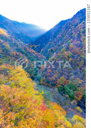 【埼玉縣】秋葉環繞的咩坂隧道入口和徠坂橋。 【埼玉縣】秋葉環繞的咩坂隧道入口和徠坂橋。 133052167