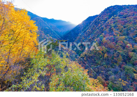 【埼玉縣】秋葉環繞的咩坂隧道入口和徠坂橋。 133052168