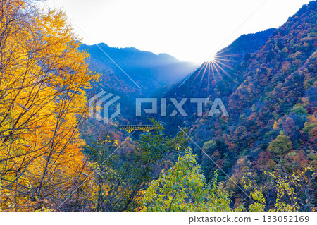 [Saitama Prefecture] Entrance to the Karisaka Tunnel and the Karisaka Bridge surrounded by autumn leaves 133052169