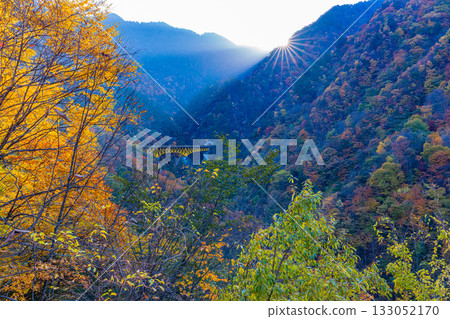 【埼玉縣】秋葉環繞的咩坂隧道入口和徠坂橋。 133052170