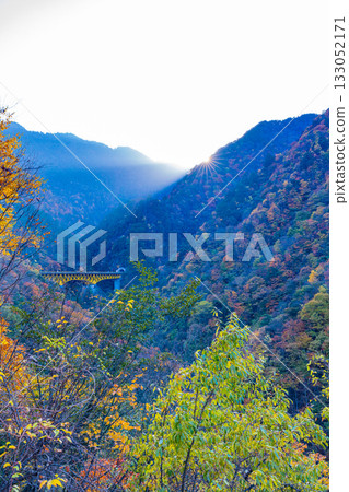[Saitama Prefecture] Entrance to the Karisaka Tunnel and the Karisaka Bridge surrounded by autumn leaves 133052171