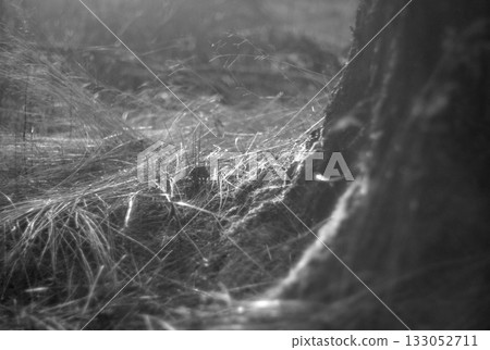 ice on the frozen lake 133052711