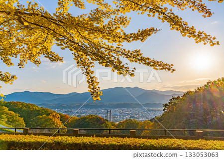 [Saitama Prefecture] Chichibu Muse Park: Rows of ginkgo trees turning yellow 133053063