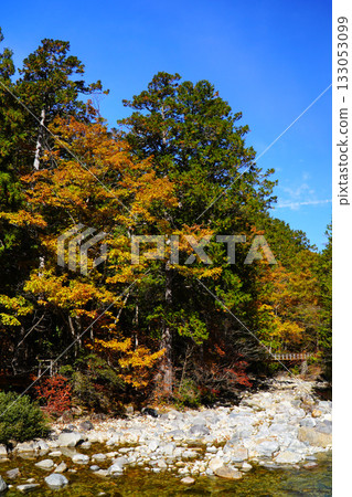 Akazawa自然休閒森林秋葉 133053099
