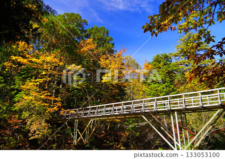 Akazawa自然休閒森林秋葉 133053100