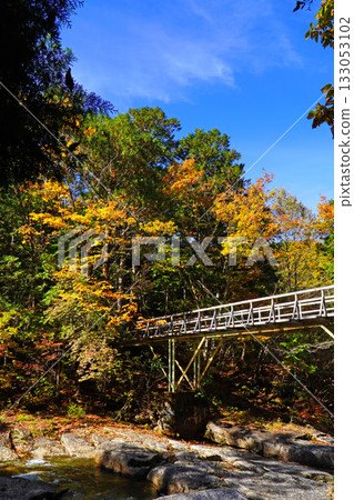 Autumn leaves of Akazawa natural recreation forest 133053102