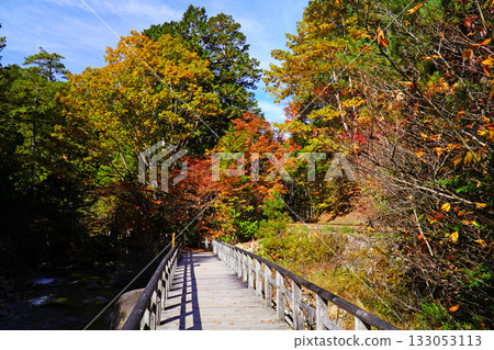 Akazawa自然休閒森林秋葉 133053113