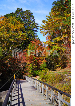 Akazawa自然休閒森林秋葉 133053114