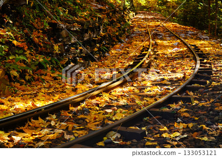 Autumn leaves of Akazawa natural recreation forest 133053121