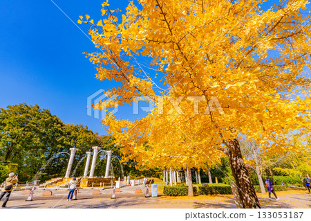 [Saitama Prefecture] Beautiful autumn leaves at Chichibu Muse Park and the fountain in the square 133053187