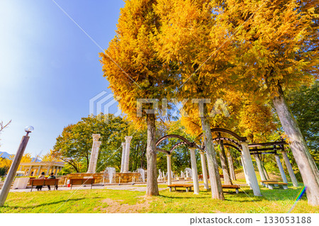 [Saitama Prefecture] Beautiful autumn leaves at Chichibu Muse Park and the fountain in the square 133053188